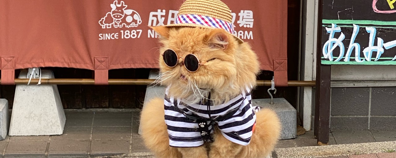 夜蛍(ｱｵｶﾝ🎶)