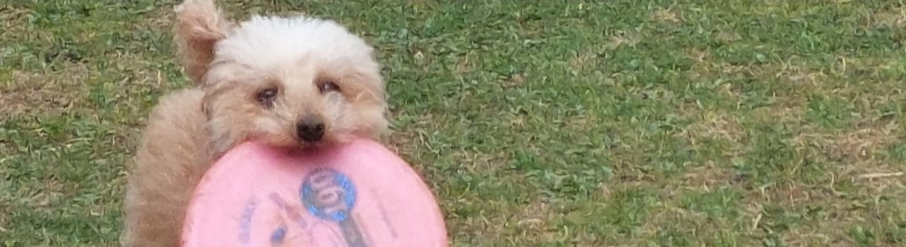 ななーちょ🃏🕯️