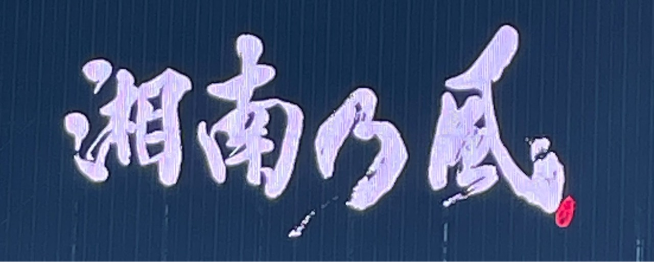 🍊デコポン太郎♪