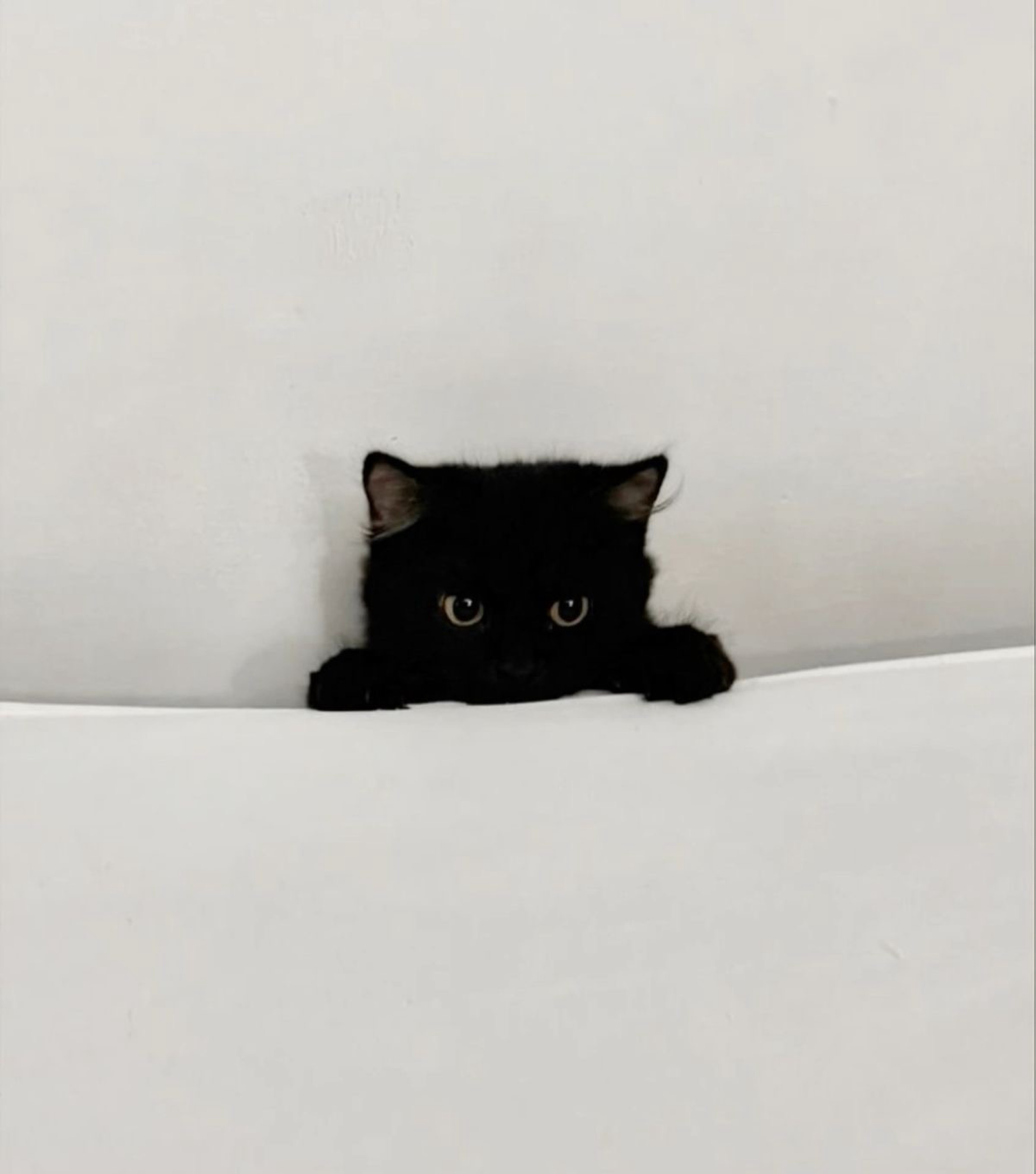 あんな