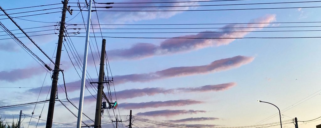 𖠚໊⸝⋆︎ジグ