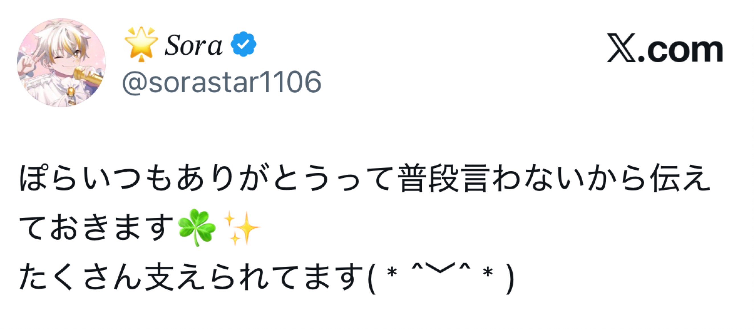 ほྀིらすた🌟