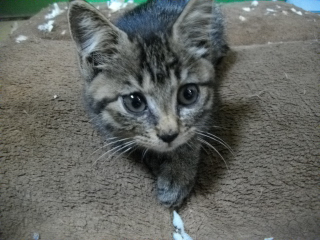 なおと
