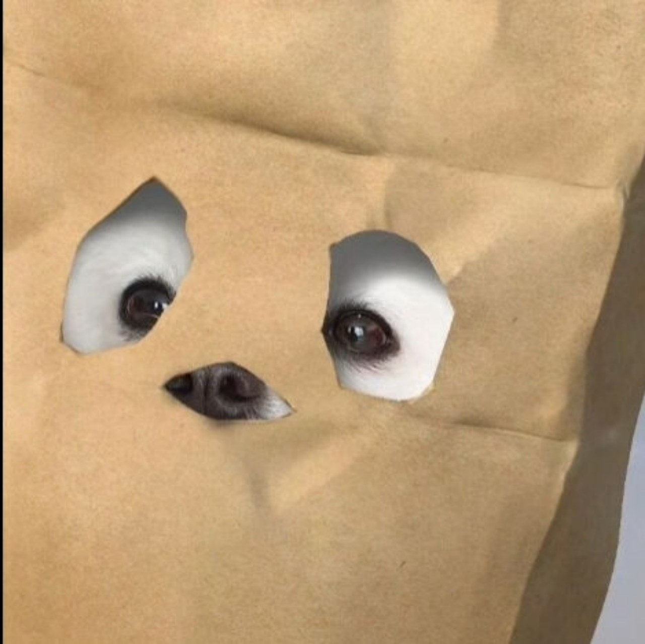 ð ð¢ ð®