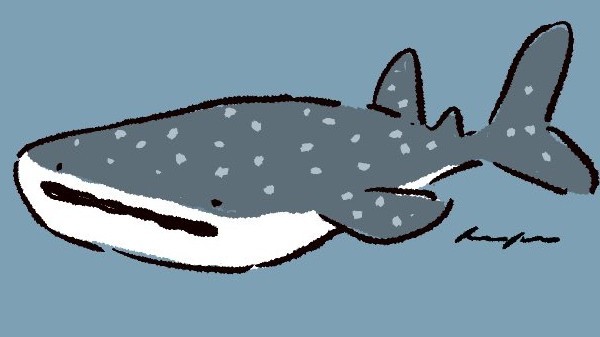 壽ｰｺﾄﾌﾞｷｰ