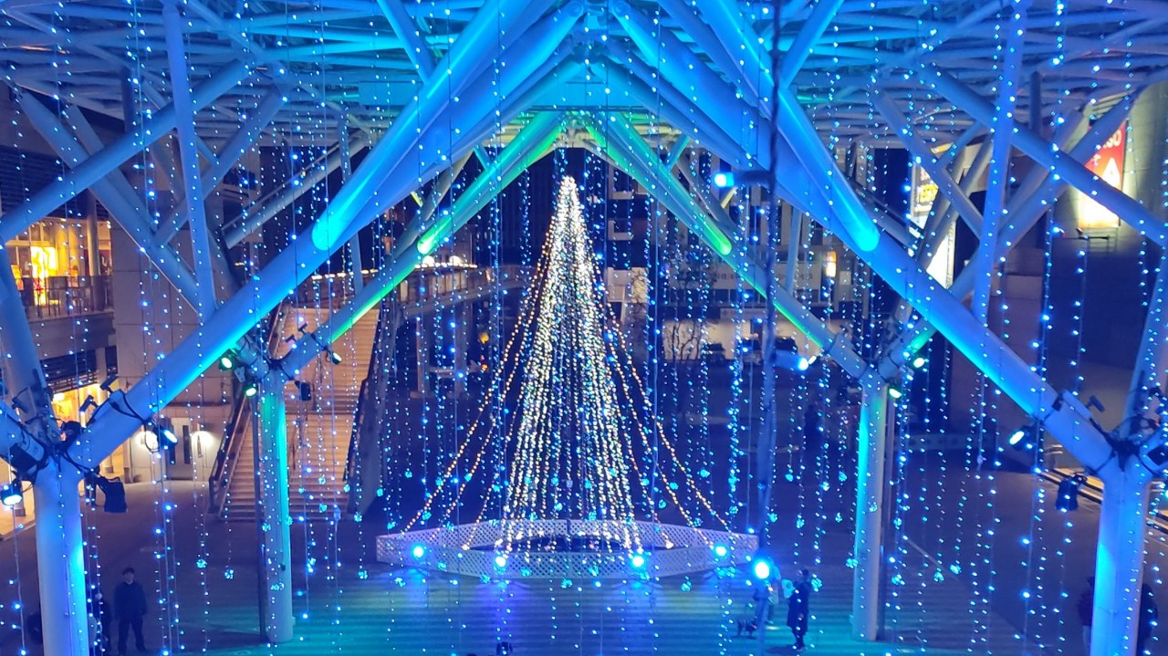 ⸌⍨⃝︎⸍ぬぴ