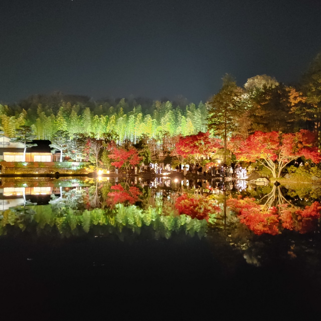 Night__Light (ないと)