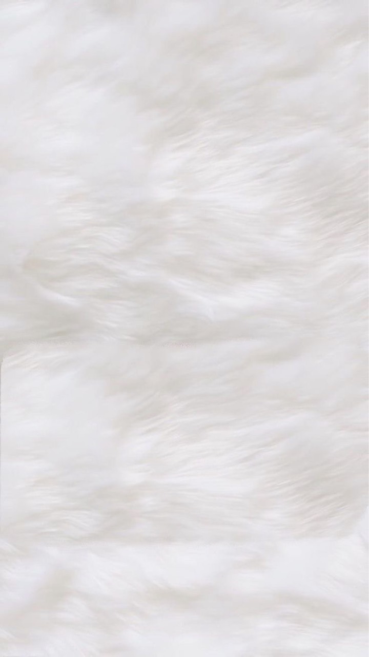 シチ