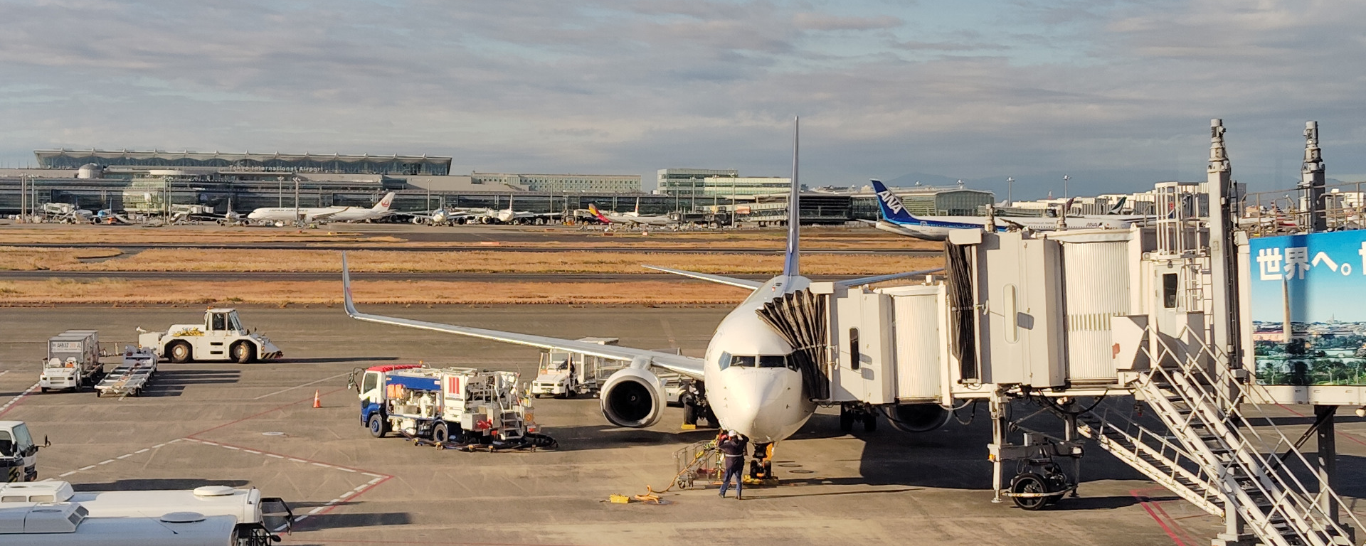 もず ♈️ 元カシス