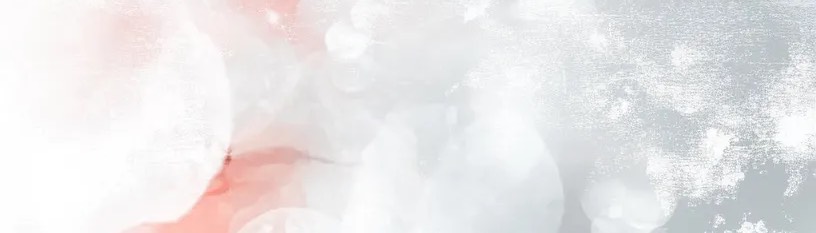 さよん(姓:白亜)