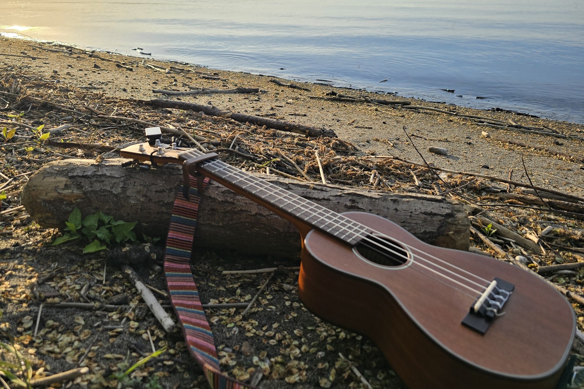 🏕 ゆぅ〜にぃ〜