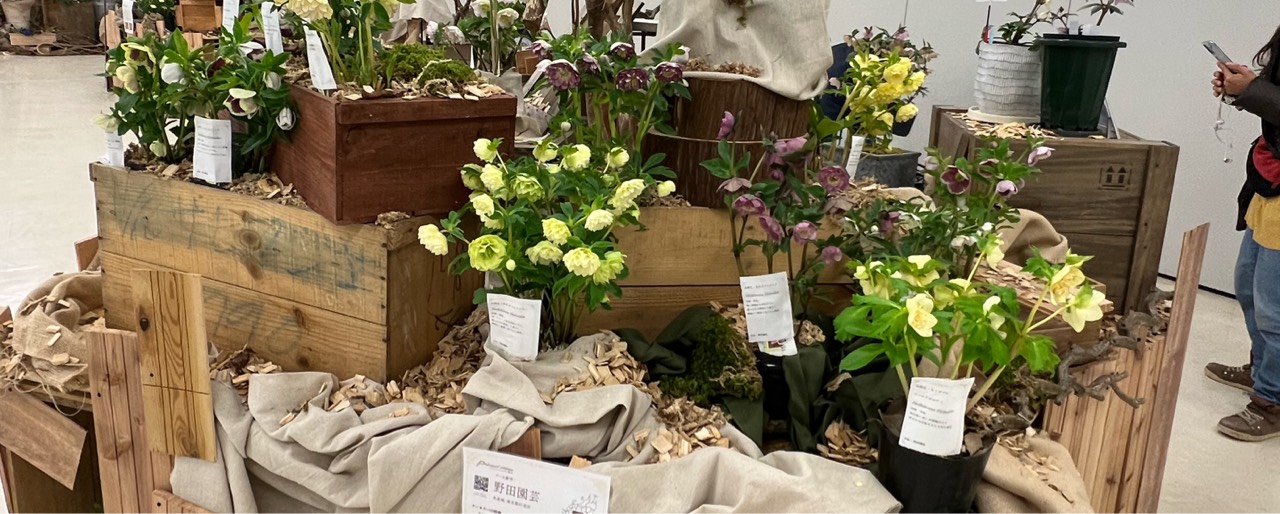 ライムダック🎼🍀🎩✍🏻