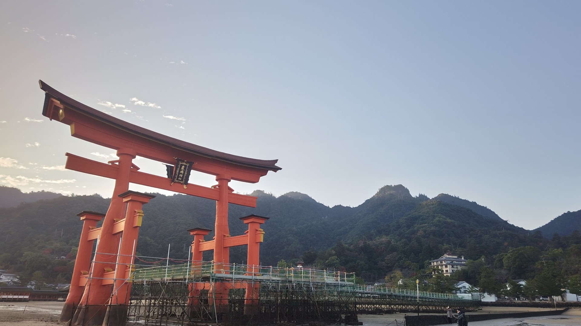 不知火ｼﾗﾇｲ