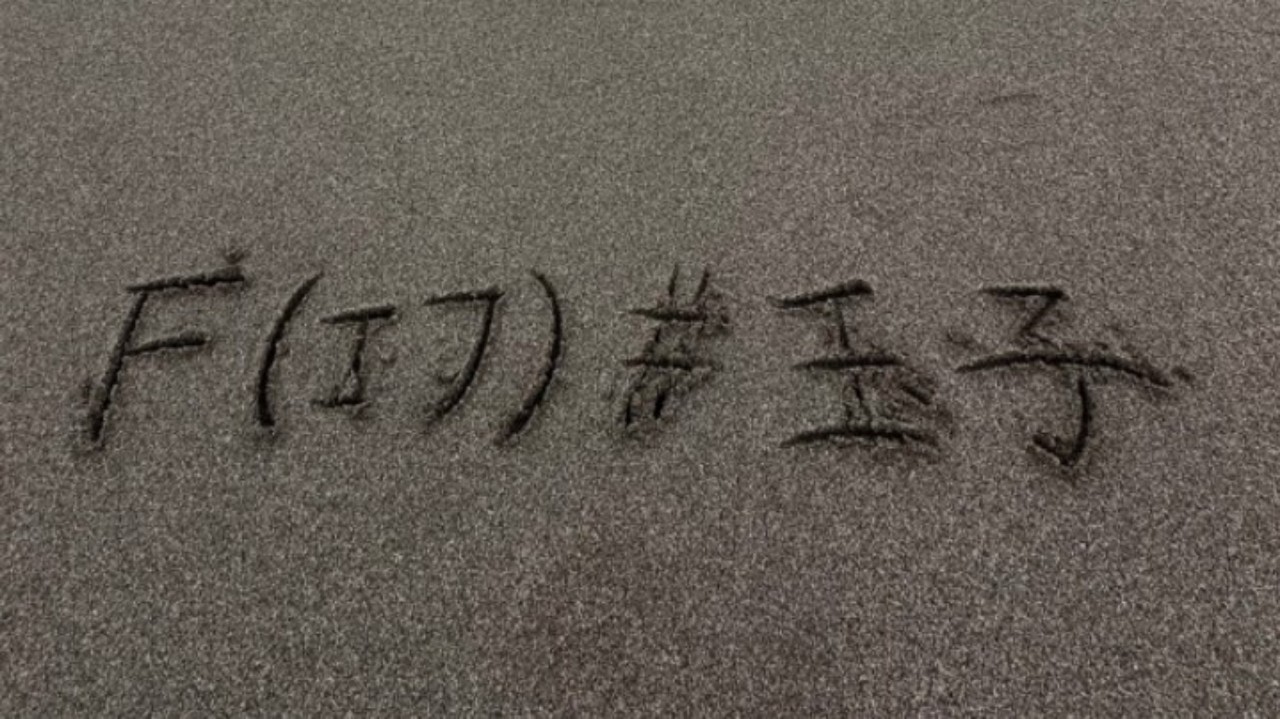 Ƒ#王子#国道ニキ#ワタリドリup