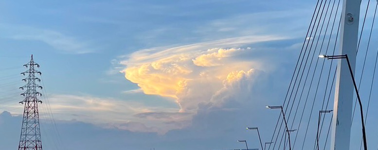 ポニョ∈(⸝⸝• ⌓ •⸝⸝)∋‪