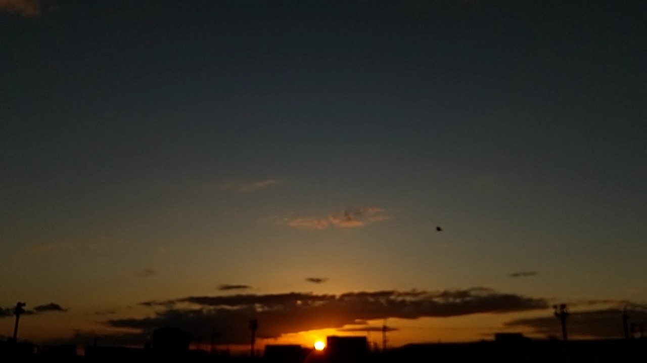 空白(くうはく)𓃠