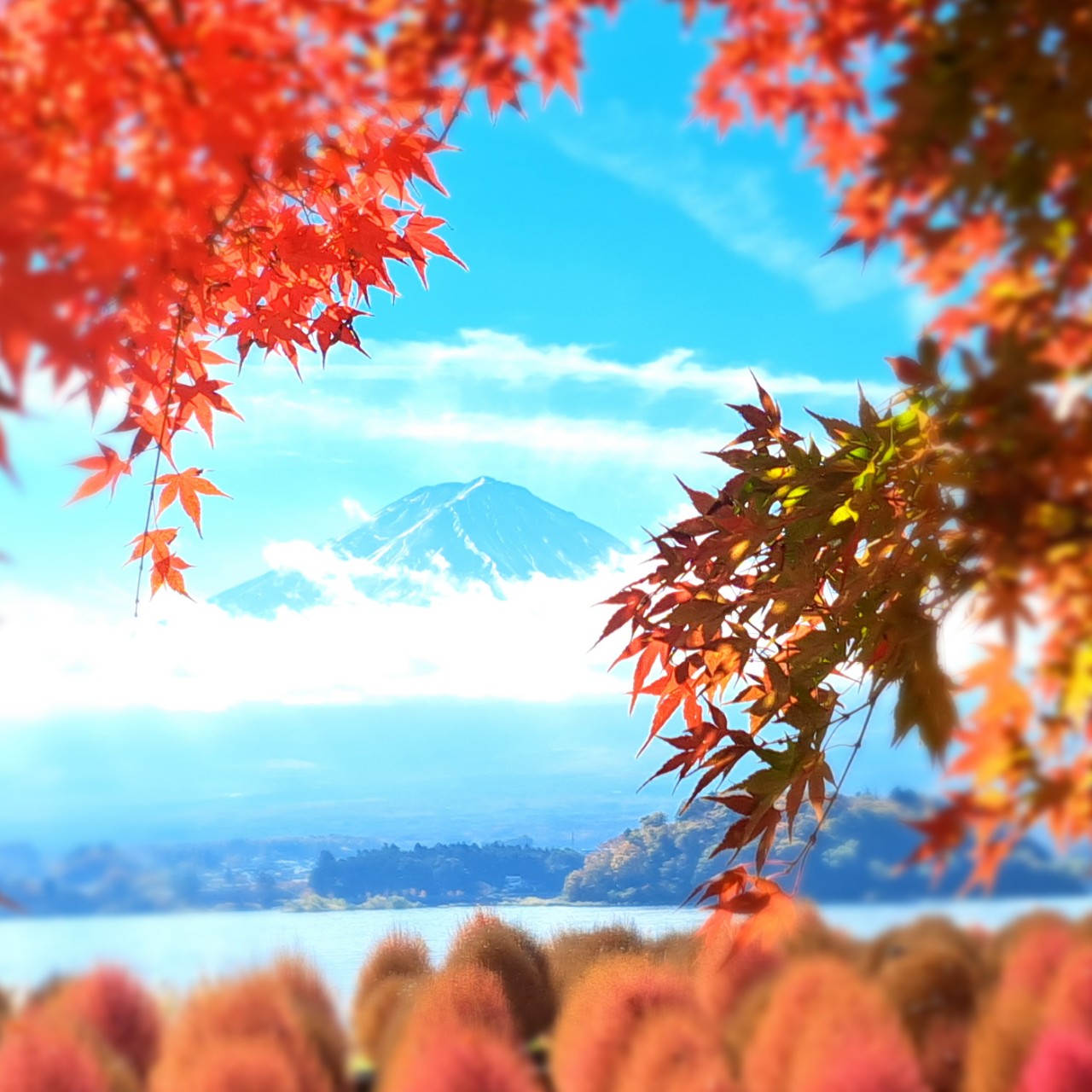 シュヴァルツ🇩🇪🍺