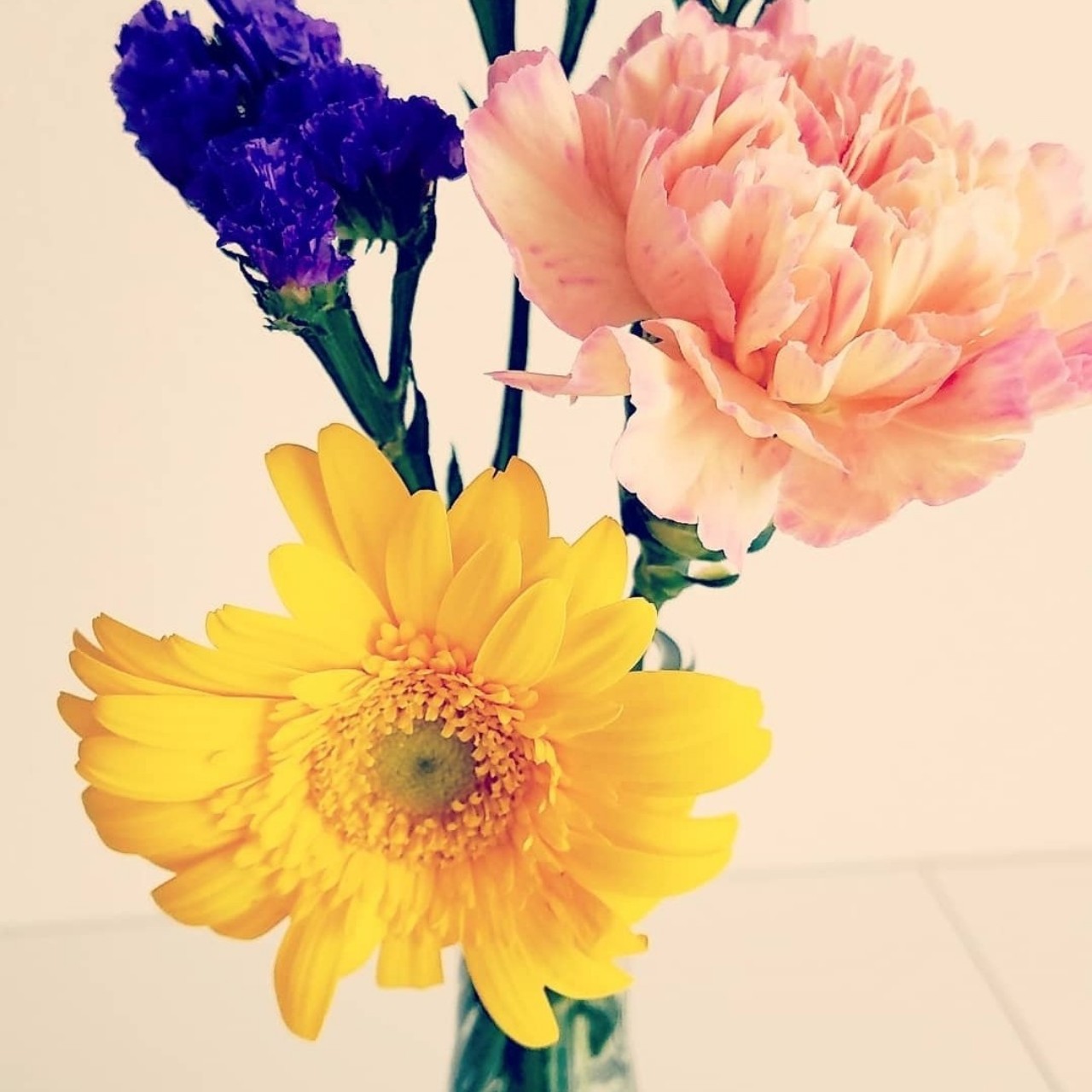 .*✿⑅◡̈*з｡バ