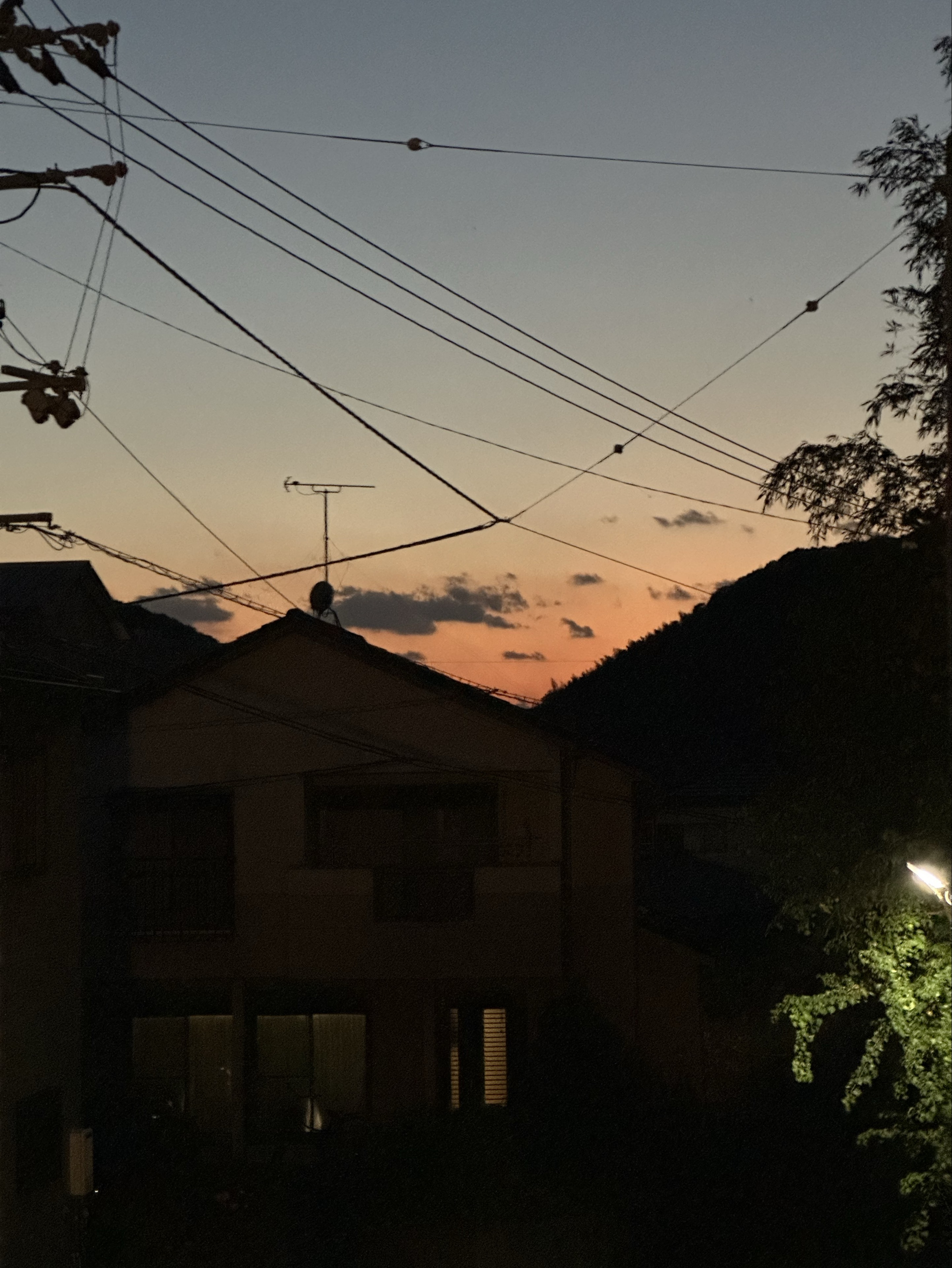 𖧧꙳ 𪆐-ﾐﾄﾞﾘ-