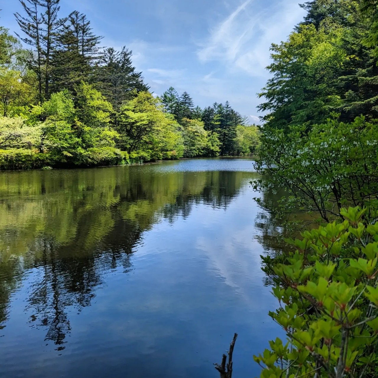 天🥂☪︎*。꙳