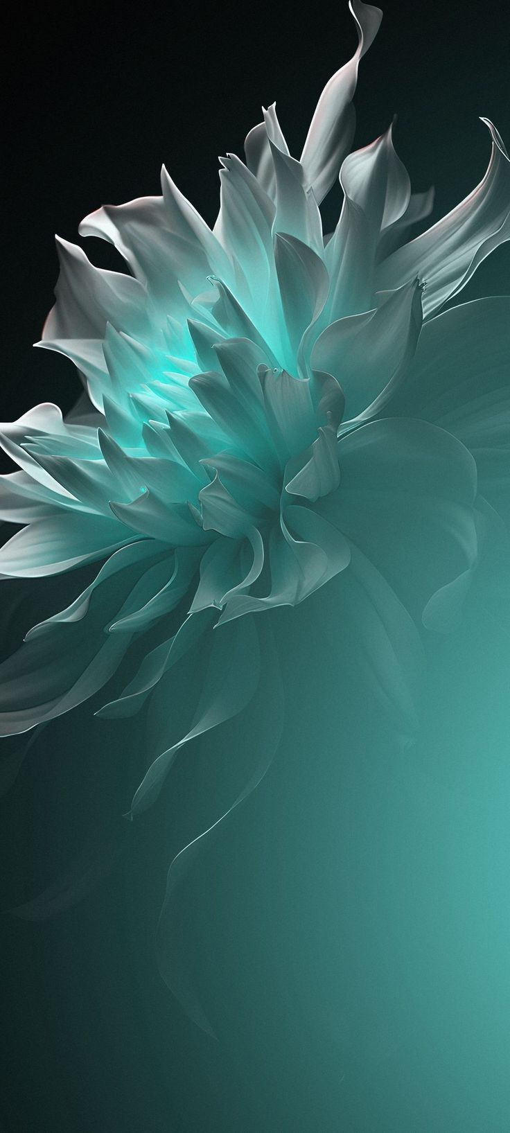 じっくん♬.*ﾟ