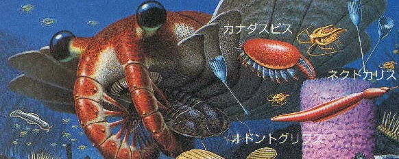 ヴィクトリア・凄ノ王