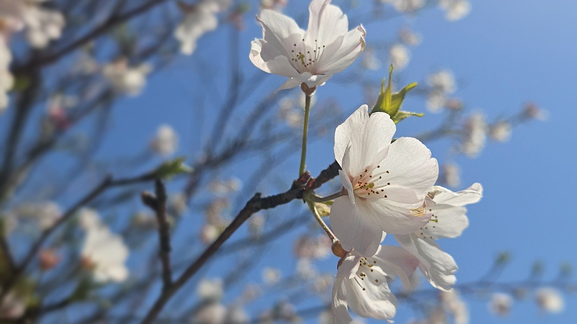 ちゅけ☪︎*🚬︎︎☁︎Ω🦏