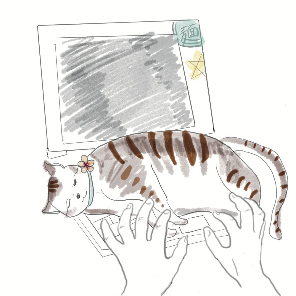 なまけ猫(タカシ)麺⃝᷉ˢ