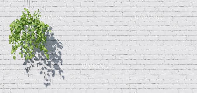 ふう🎐☾·̩͙꙳