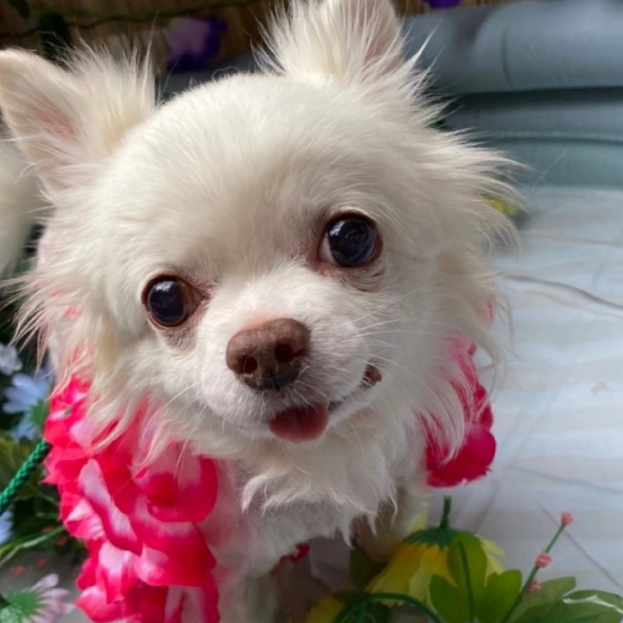 ð¥ãŸãðâªïžáްáµáµ