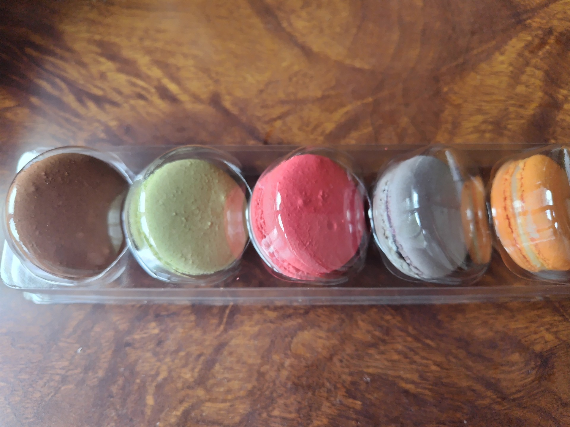 樋口ヤサト@hiyasato