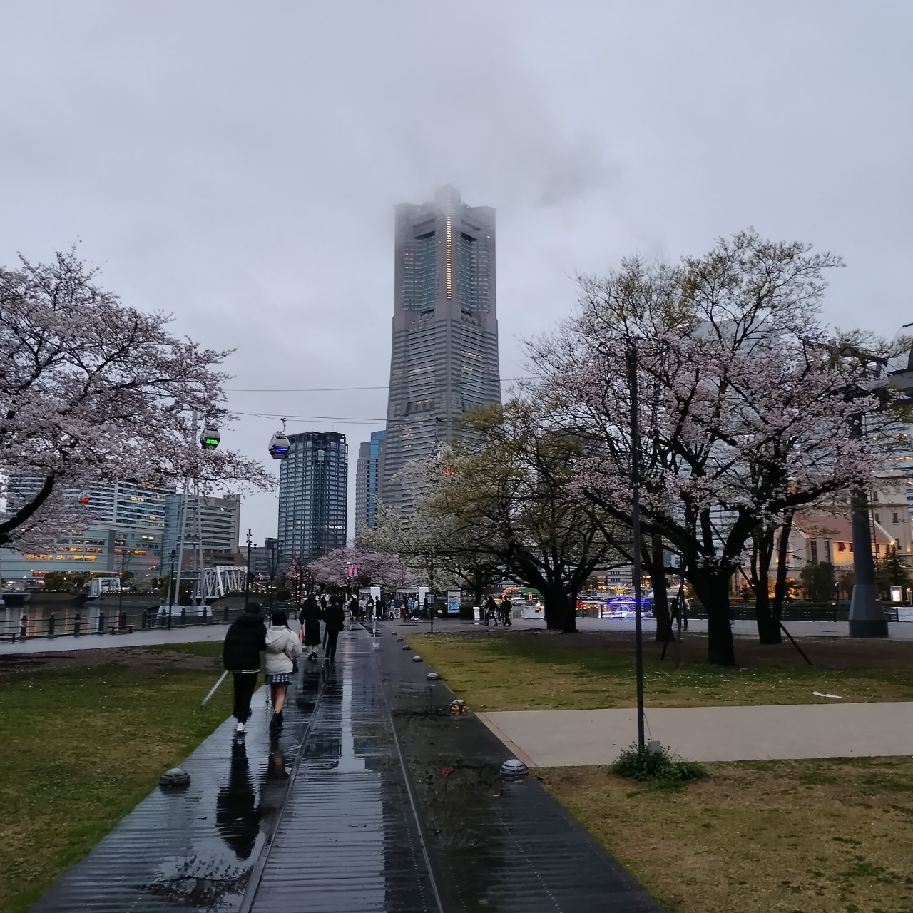 たかねこ🦅😺