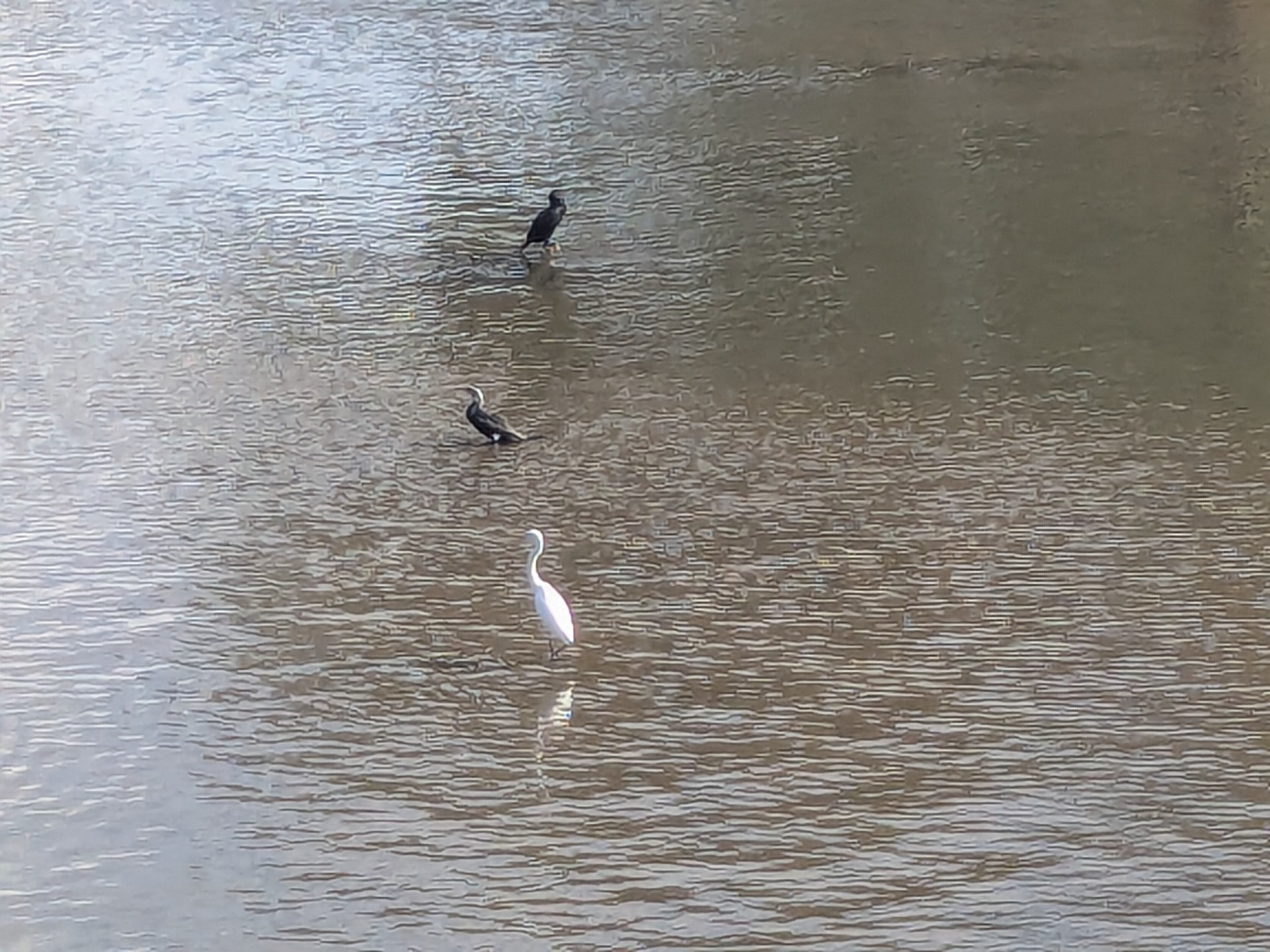 Ok...SoLすけ✌️