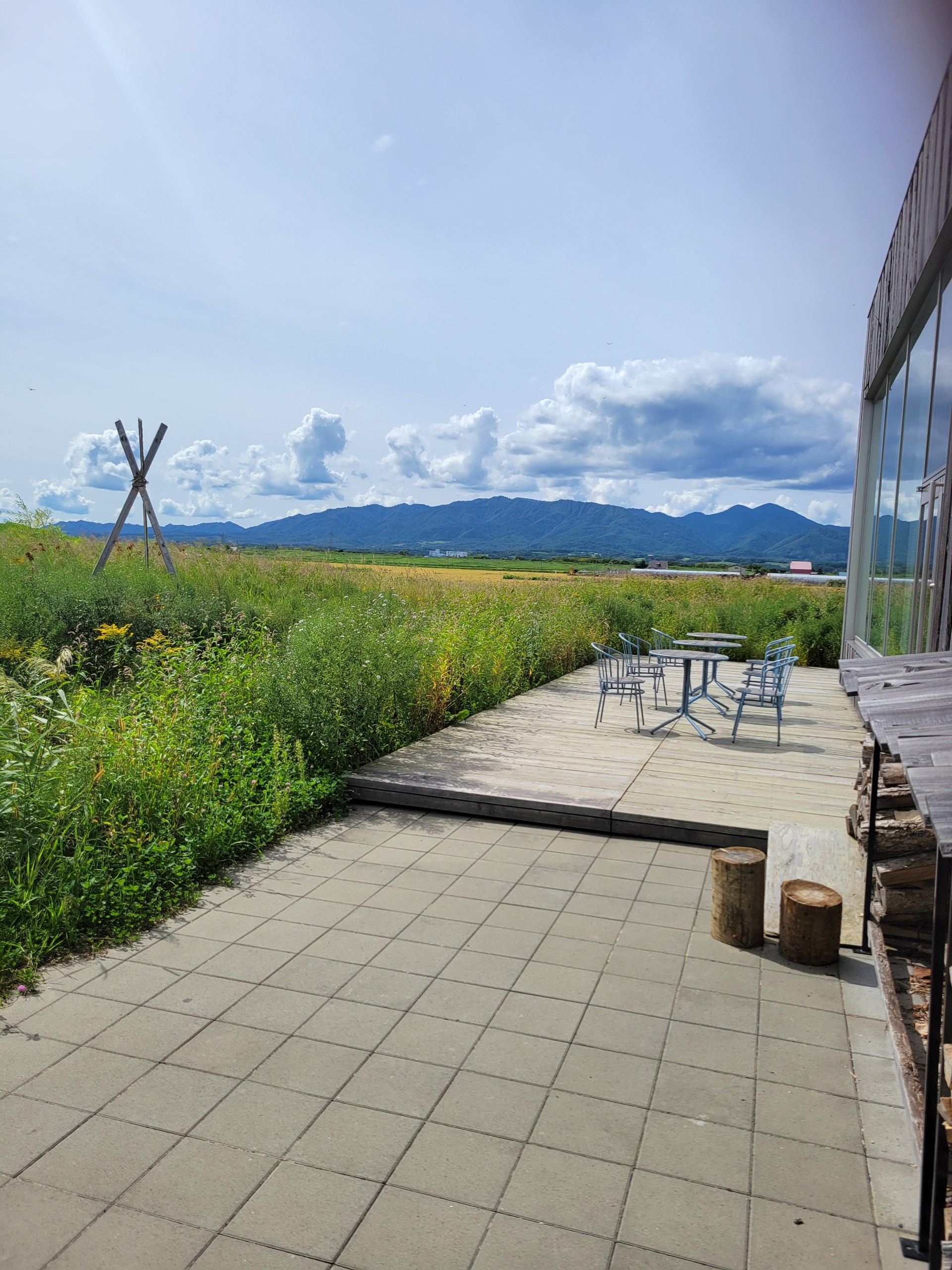 ʚ˙꒳˙ɞ⸒⸒ナガミ