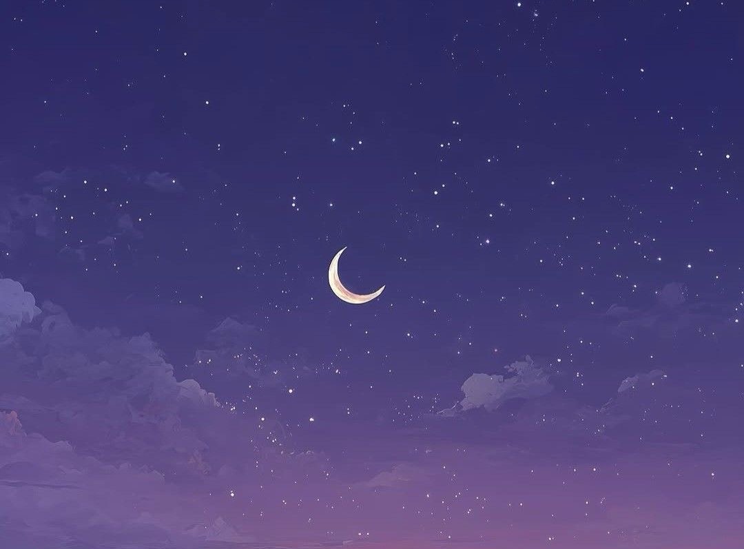 海衣。