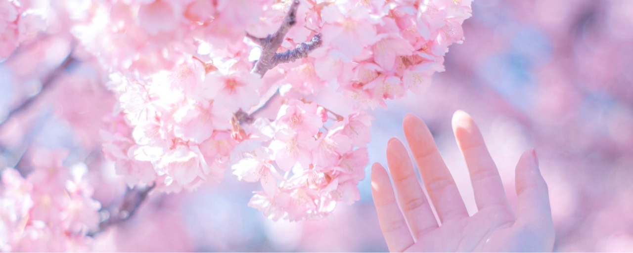 じゅにちゃん レベル41