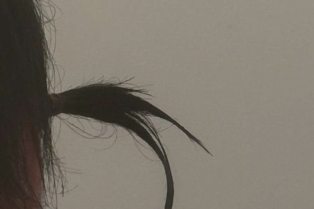 💜‪崔@存在センシティブ◜o◝