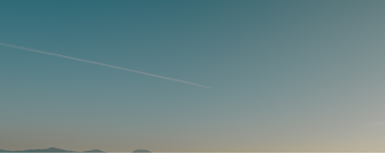 桜花 琴 -oka koto-