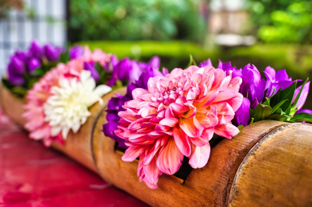 くどー脱兎マン