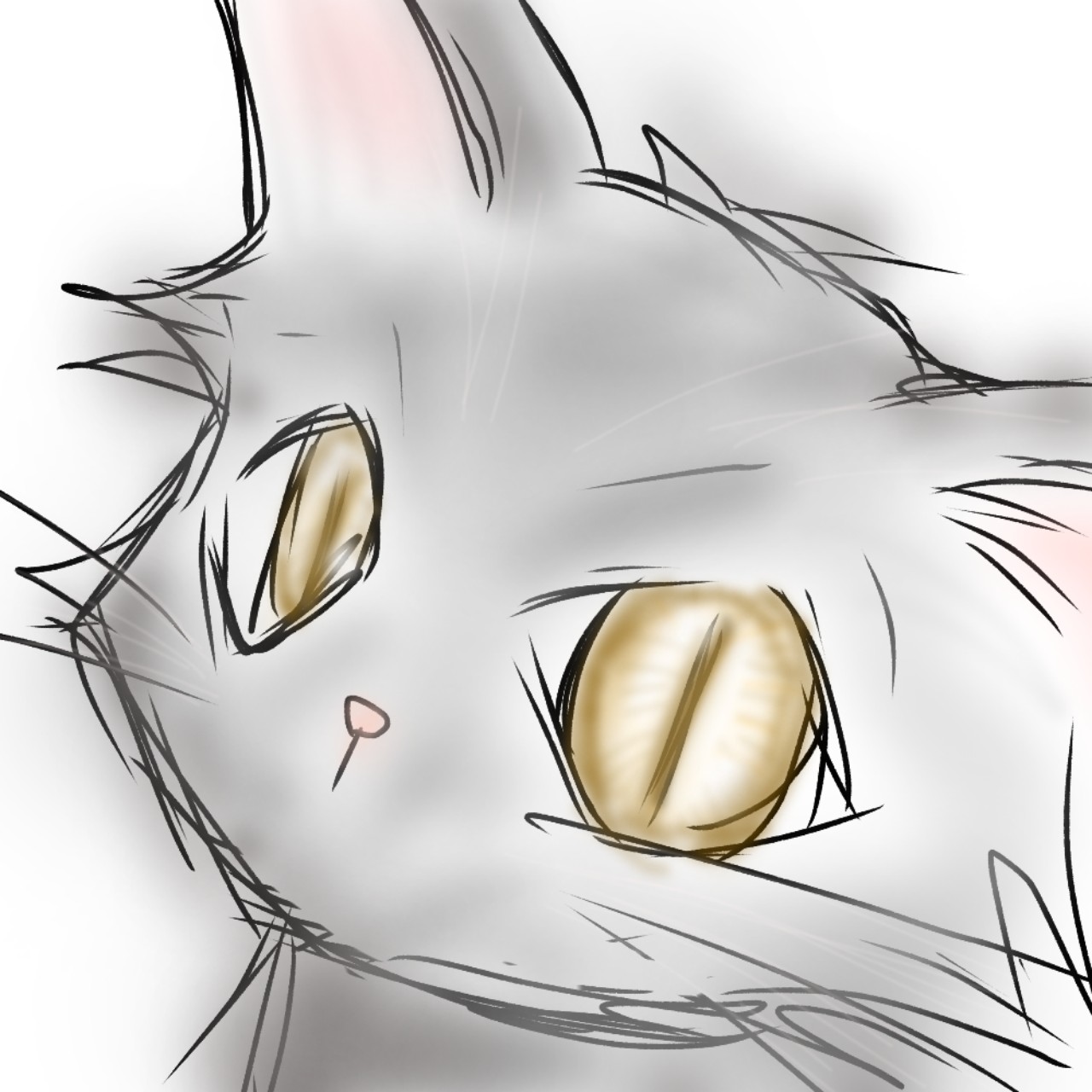 ︎︎🐾月猫🐾(安定もぐりん)