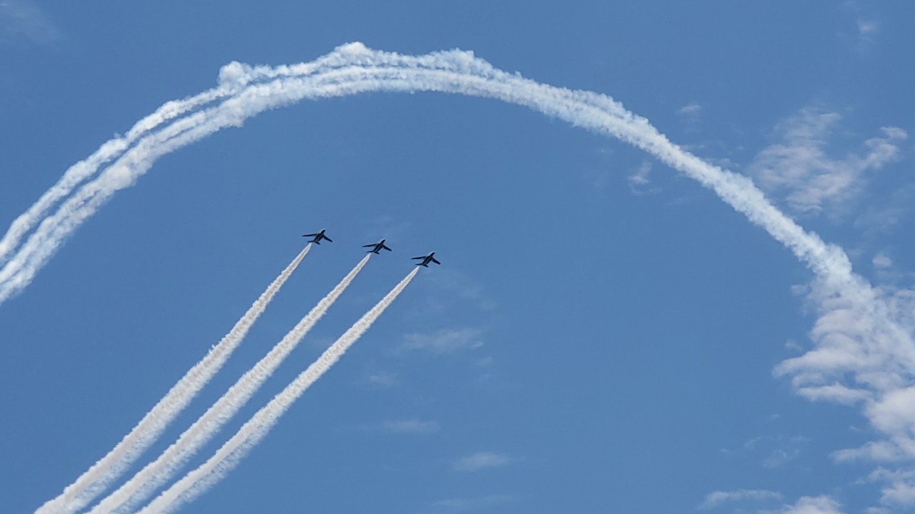 🦅Hacchi_003  ฅྀི੭‪ᩚ