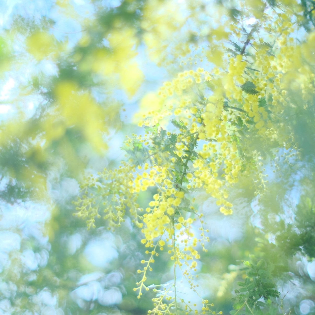 アユミ＊朗読お姉さん