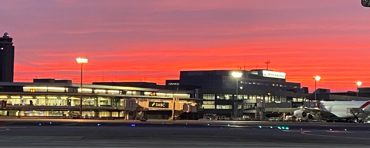 🐉バカ殿⋆͛🦖⋆͛