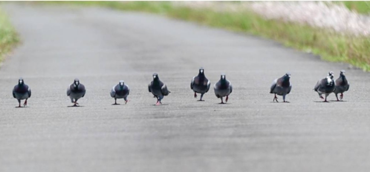 ているさんは小人
