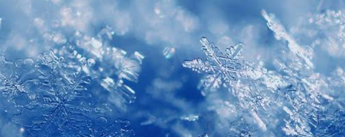 ꒰ঌ𓅫໒꒱φ菜月朔夜φ 🥂𓈒𓂂𓏸