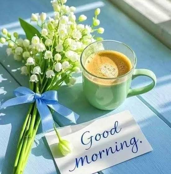 ⚡️🎙Mr.元たか子❁¨̮🐶