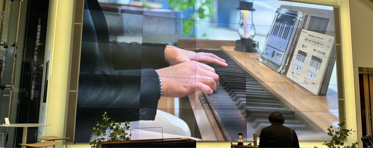 🎼のぶにぃ(Y's)🎶