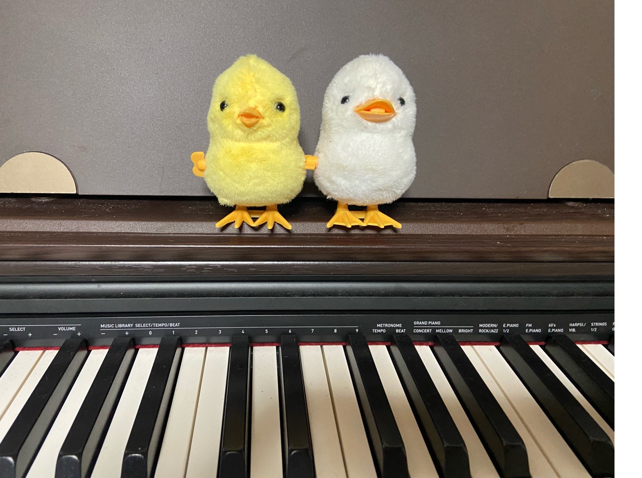 夢旅人(たびとん)