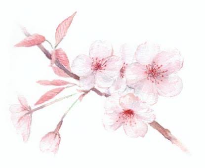 さとう