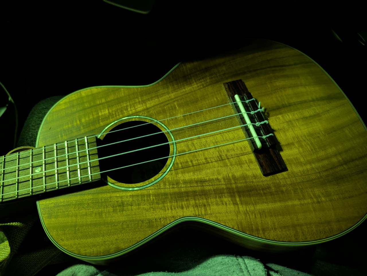 ☁ToMoﾎﾟｮ 🌱🐟𓅿⑅⋆⁰¹¹